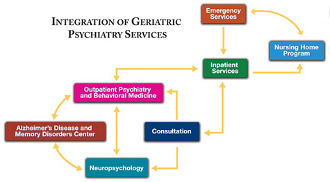 diagram of geriatric psych services