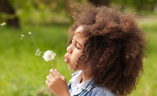 Child blowing on a dandelion