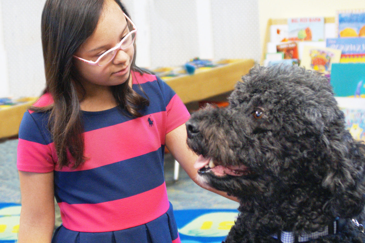 Child petting Beazie, the therapy dog, at Bradley Hospital