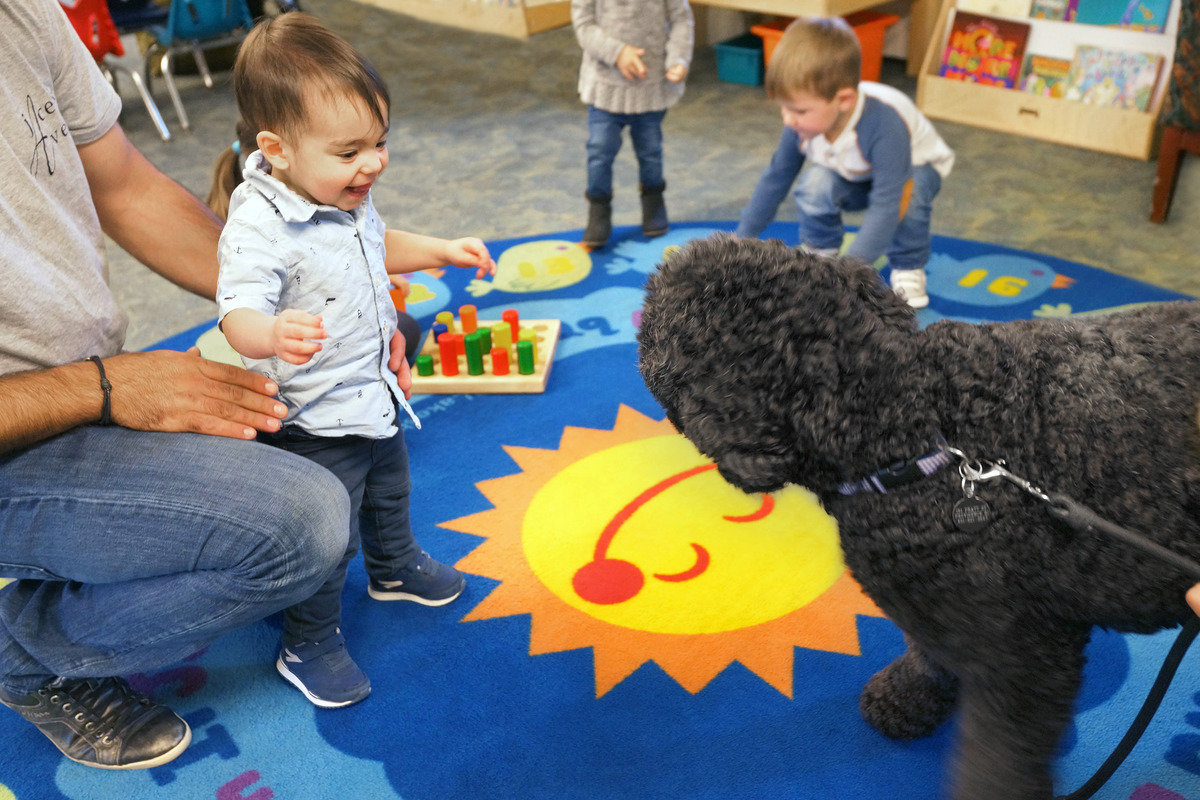Young child approaching Beazie, the therapy dog, at Bradley Hospital