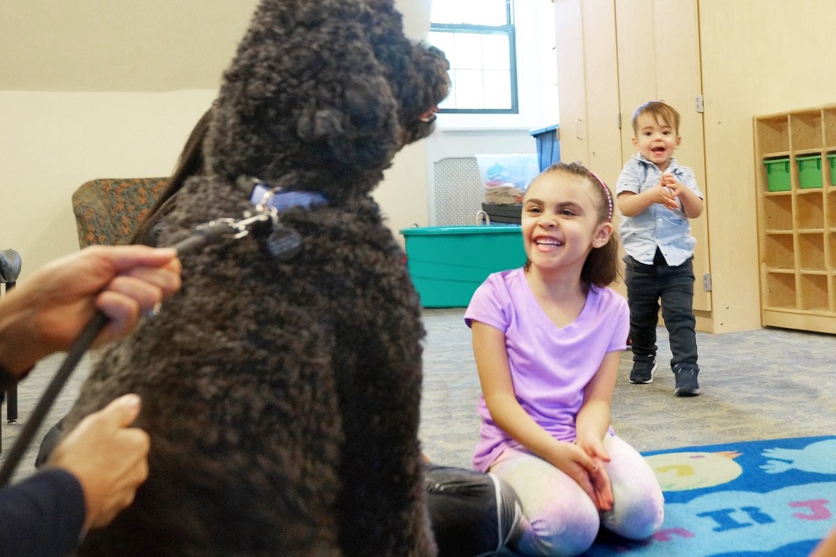 Child smiling at Beazie, the therapy dog, at Bradley Hospital